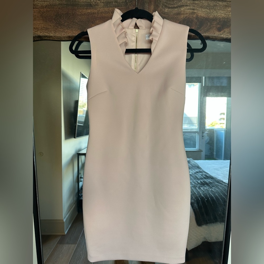 Women’s Calvin Klein Pink Size 4P sleeveless ruffle collar dress
